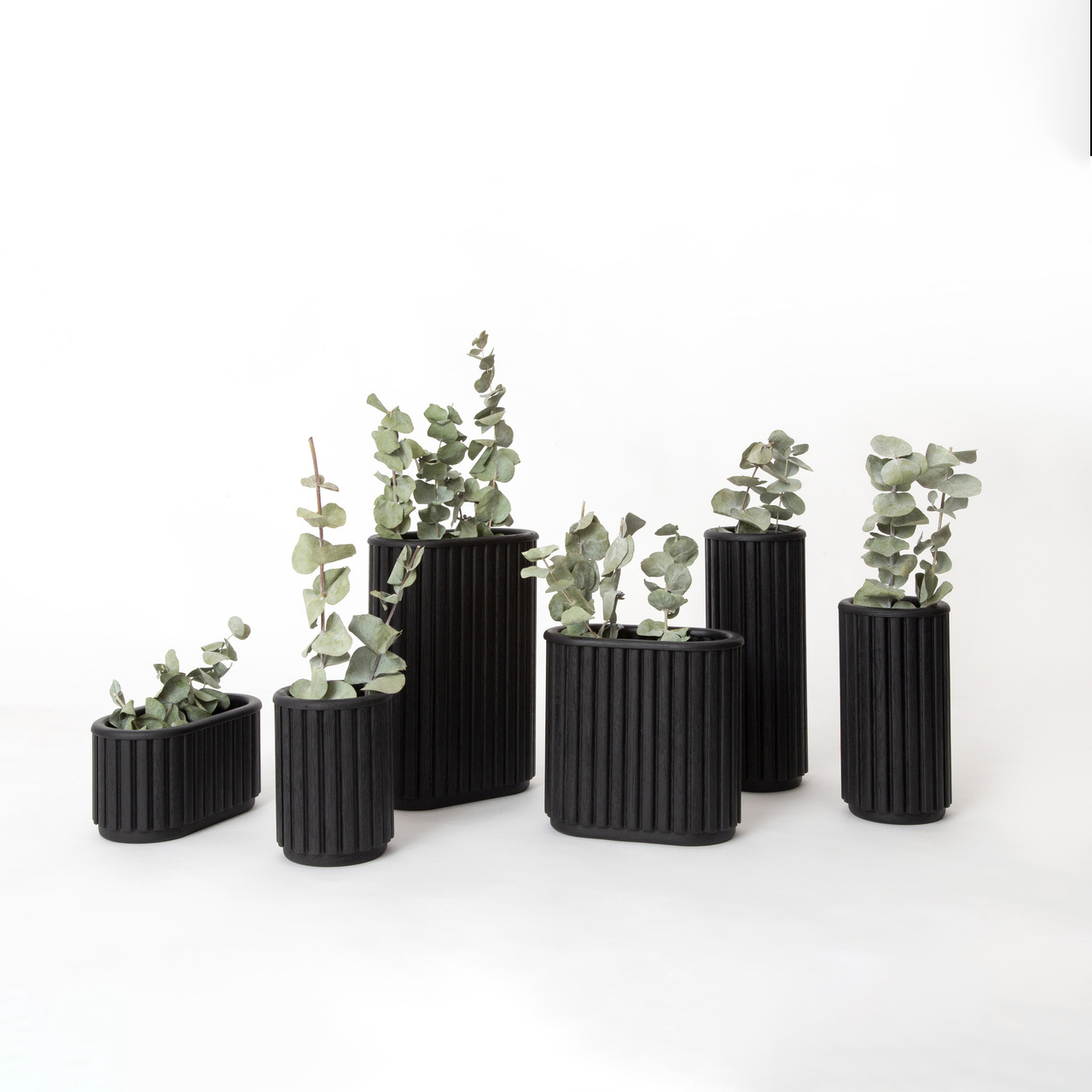 Estudio Claudina Flores