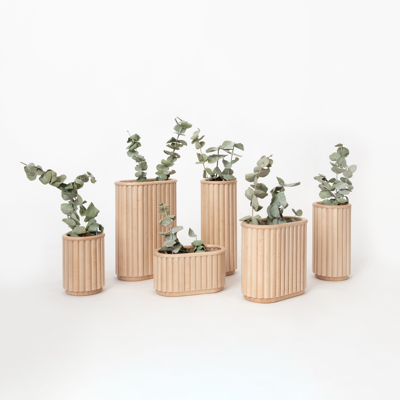 Estudio Claudina Flores